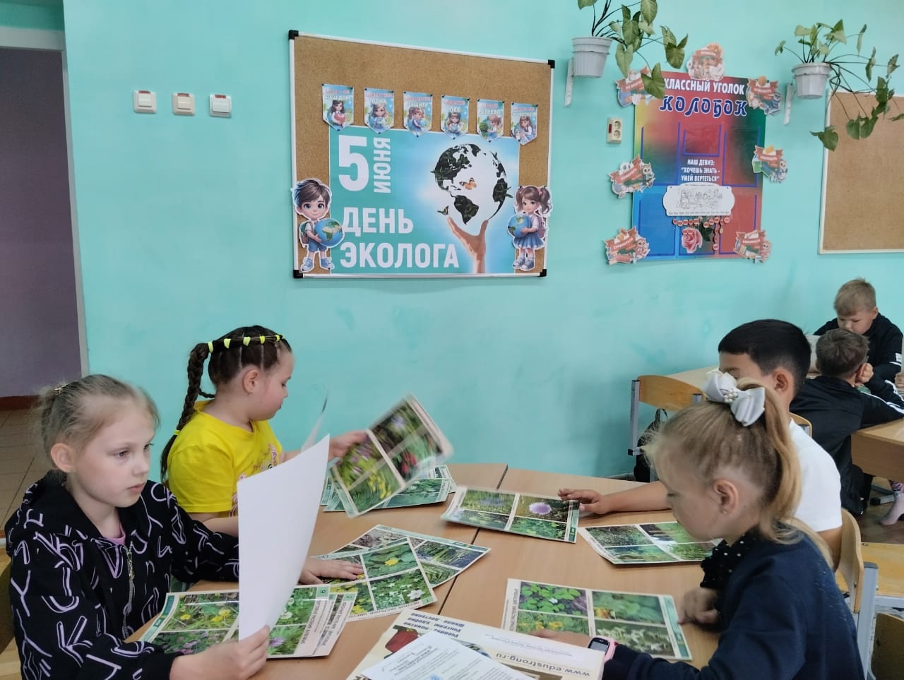 В ПОИСКАХ ЦВЕТКА СЧАСТЬЯ.